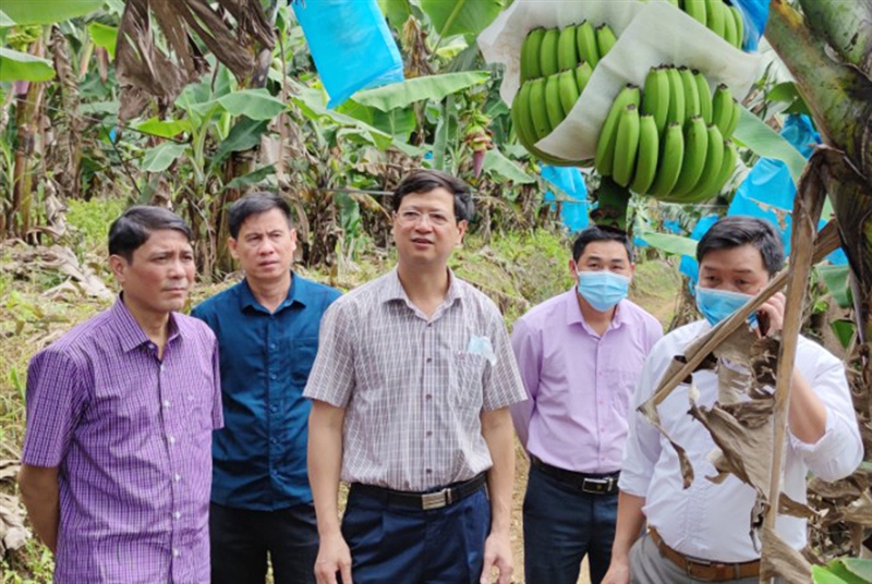 Hội nông dân tỉnh Lào Cai xây dựng tổ chức hội vững mạnh - Ảnh 4.