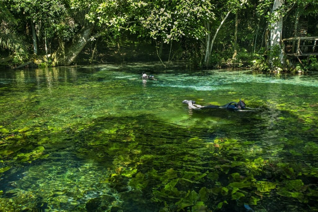 Những &quot;hòn ngọc&quot; đầy bí ẩn tại Brazil - Ảnh 2.