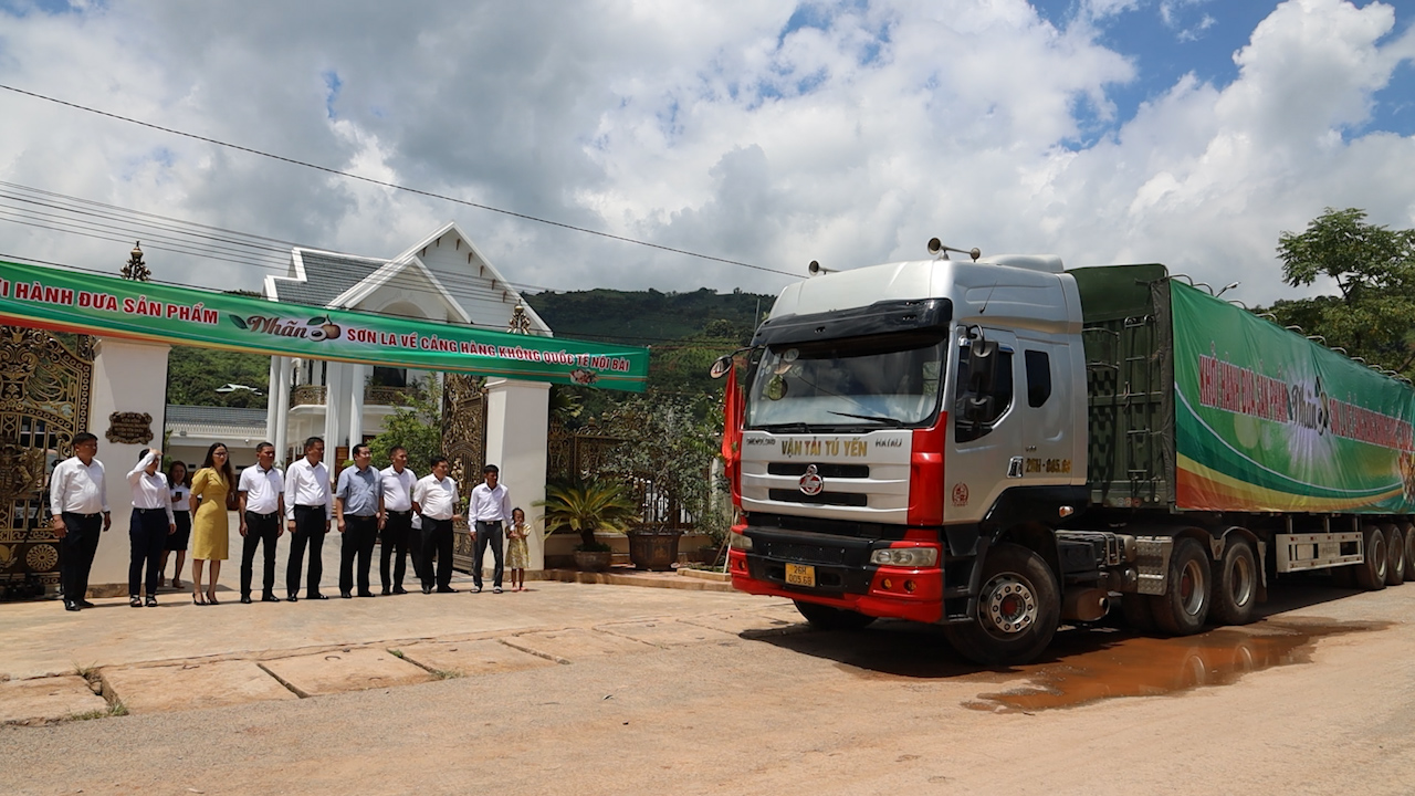 Sơn La: Cung cấp nông sản an toàn về Cảng hàng không Quốc tế Nội Bài - Ảnh 8.