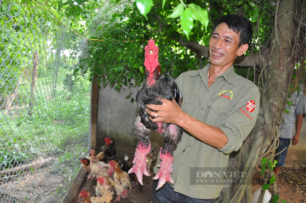 Phong trào Nông dân sản xuất kinh doanh giỏi Ninh Bình: Tạo động lực để nông dân hăng hái thi đua lao động sản xuất - Ảnh 4.