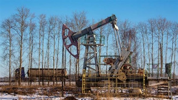 Nga tiếp tục là nhà cung cấp dầu thô hàng đầu cho Trung Quốc - Ảnh 1.