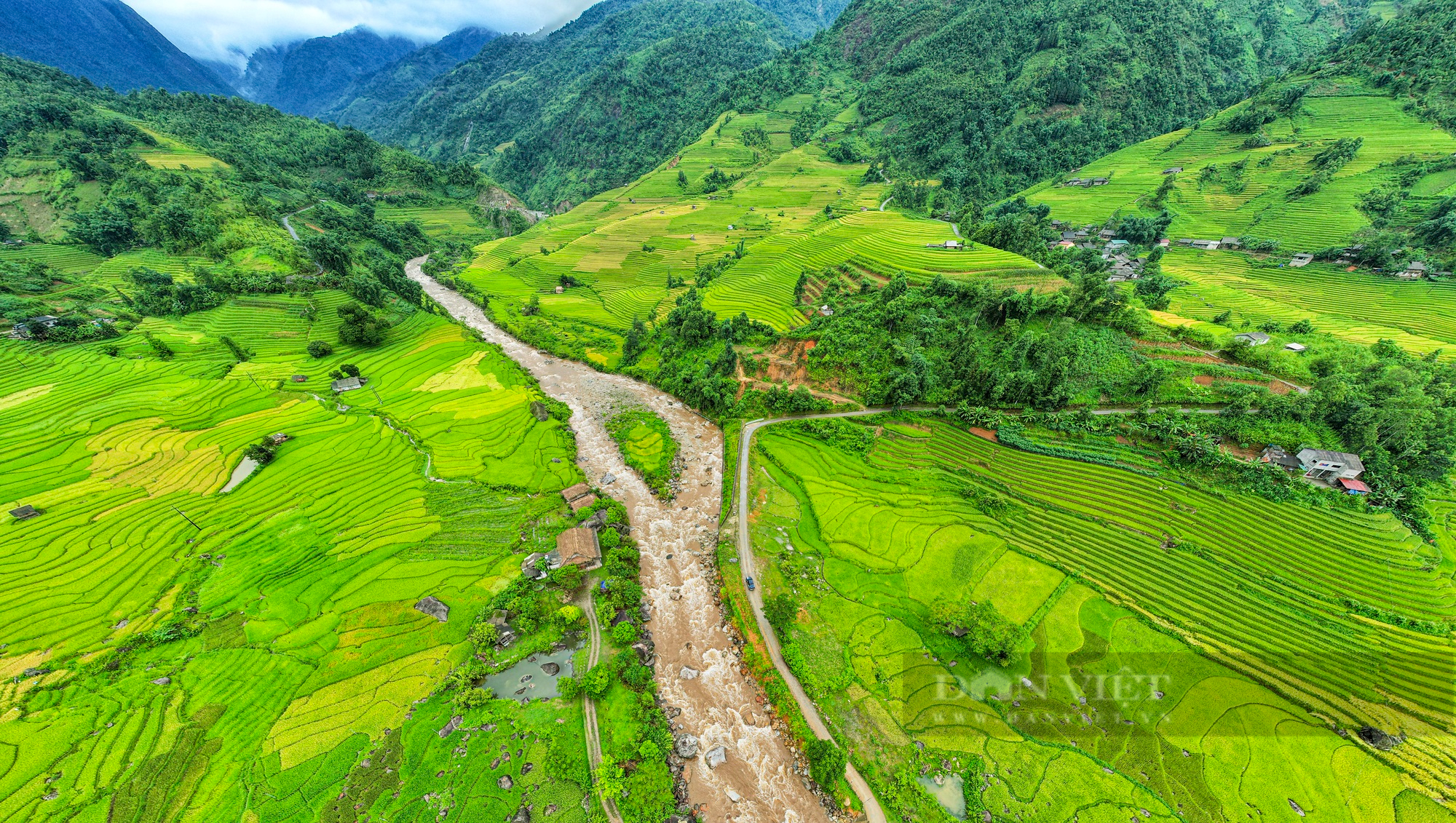 Theo chân thiếu nữ săn &quot;mùa vàng&quot; đẹp như tranh vẽ ở Nậm Cang - Ảnh 5.