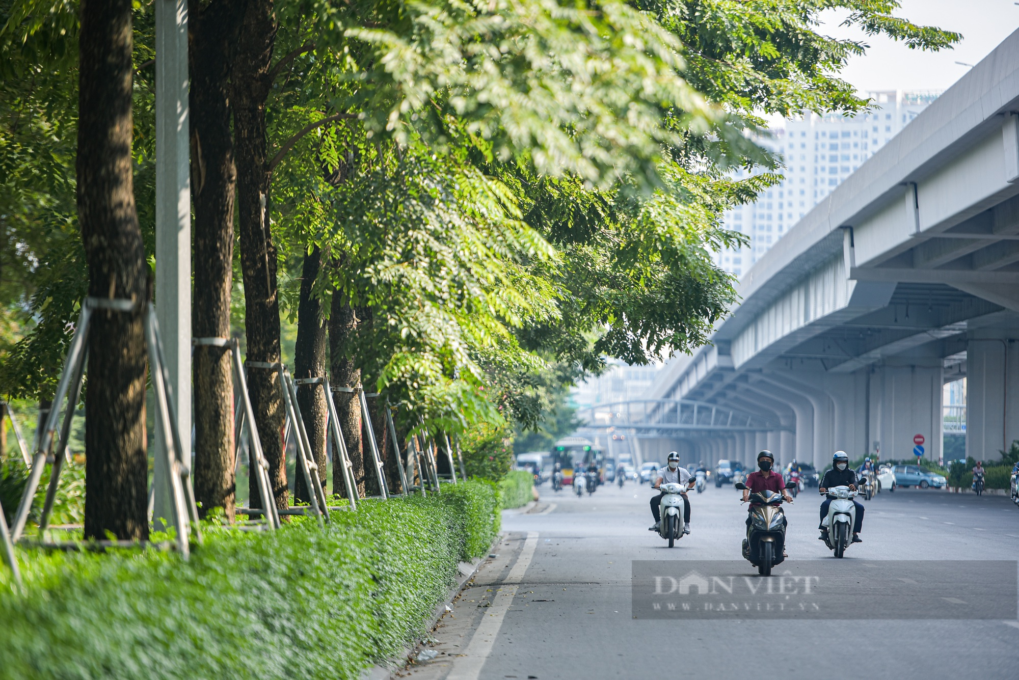 Màu xanh trở lại trên tuyến đường nghìn tỷ ở Hà Nội - Ảnh 3.