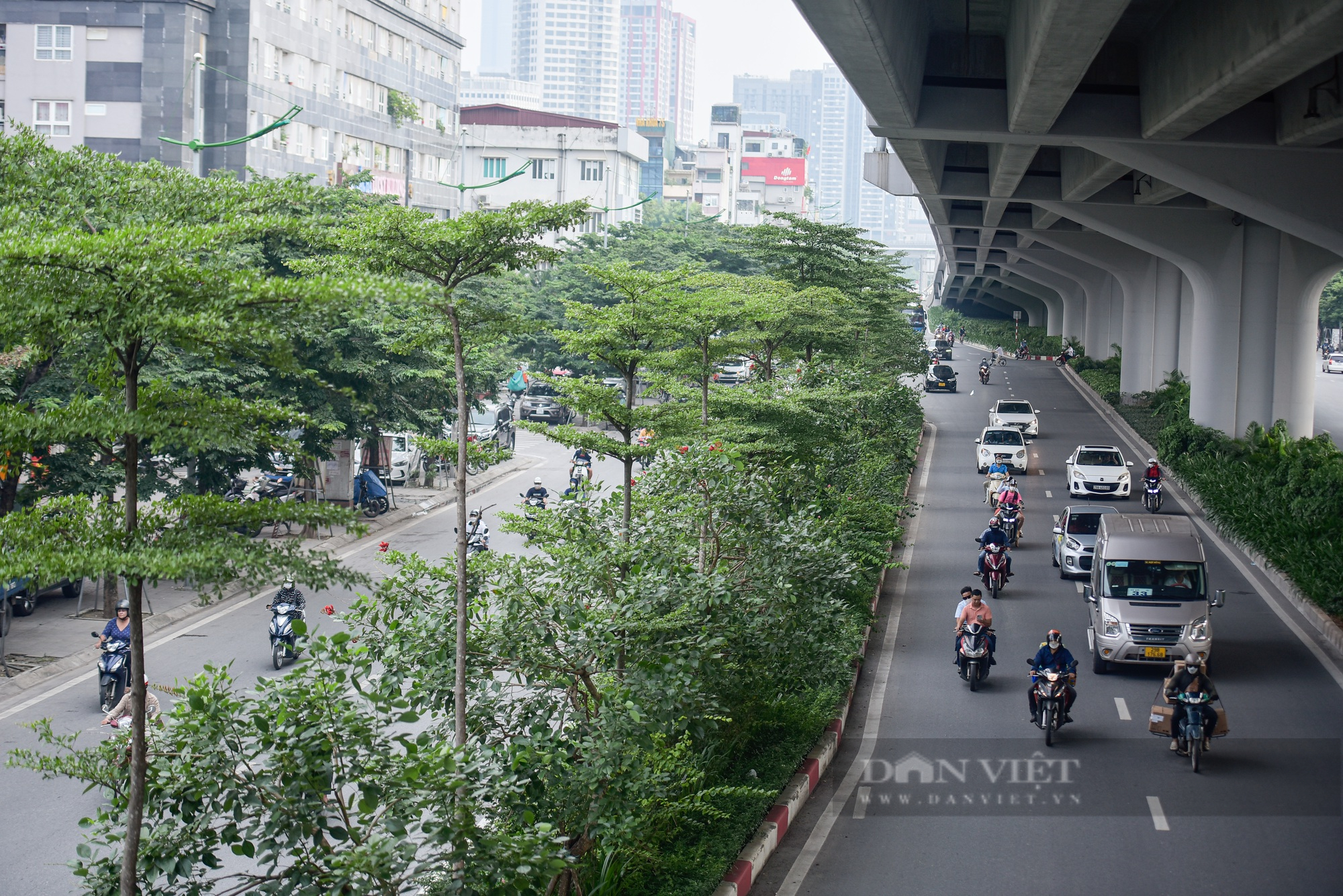 Màu xanh trở lại trên tuyến đường nghìn tỷ ở Hà Nội - Ảnh 7.