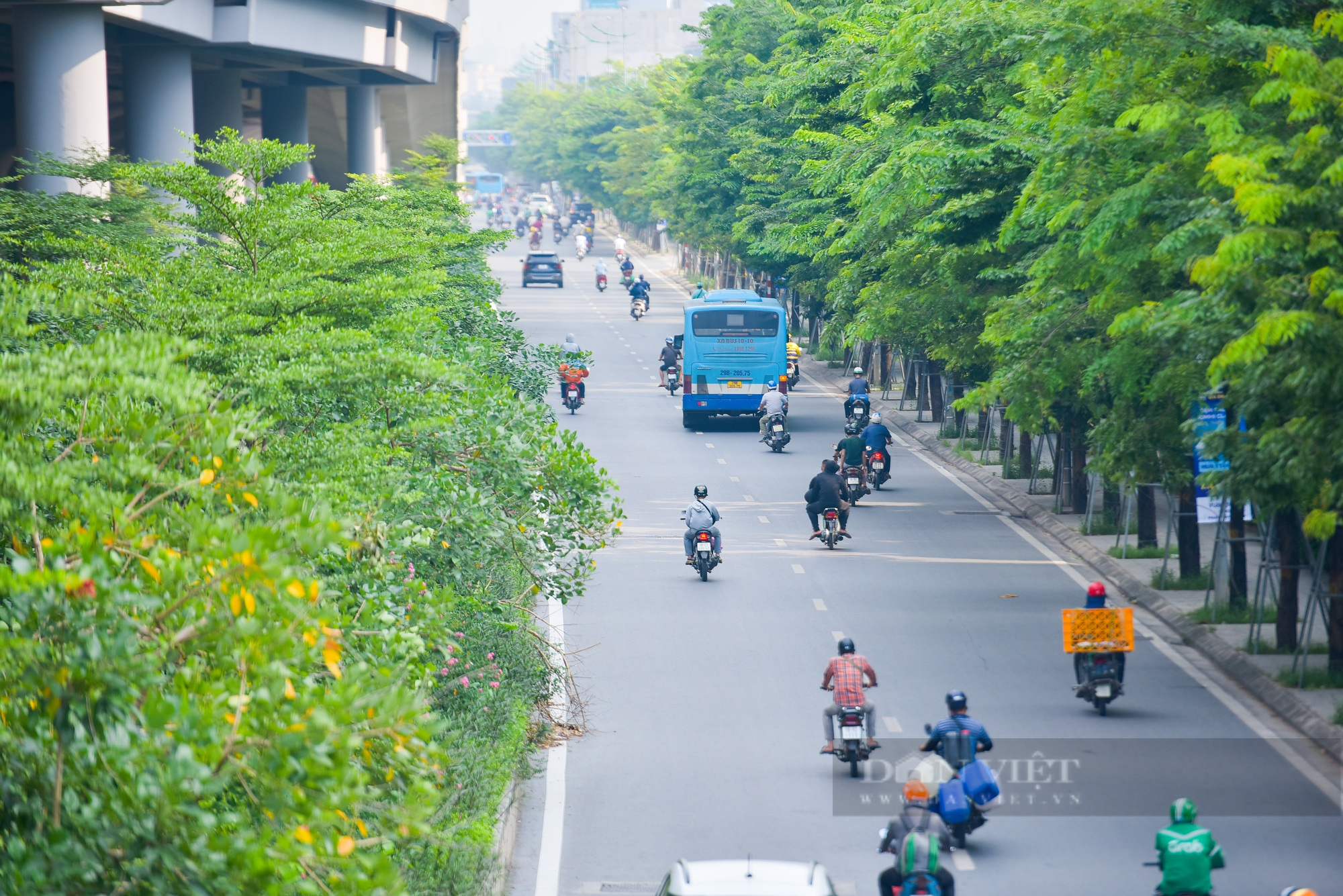 Màu xanh trở lại trên tuyến đường nghìn tỷ ở Hà Nội - Ảnh 8.