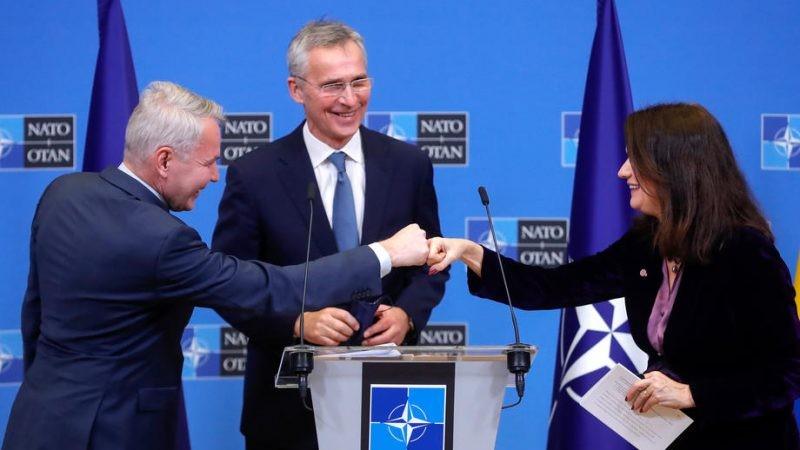 Thụy Điển và Phần Lan sẽ mang lại ưu thế gì cho NATO ở phía bắc? - Ảnh 1.