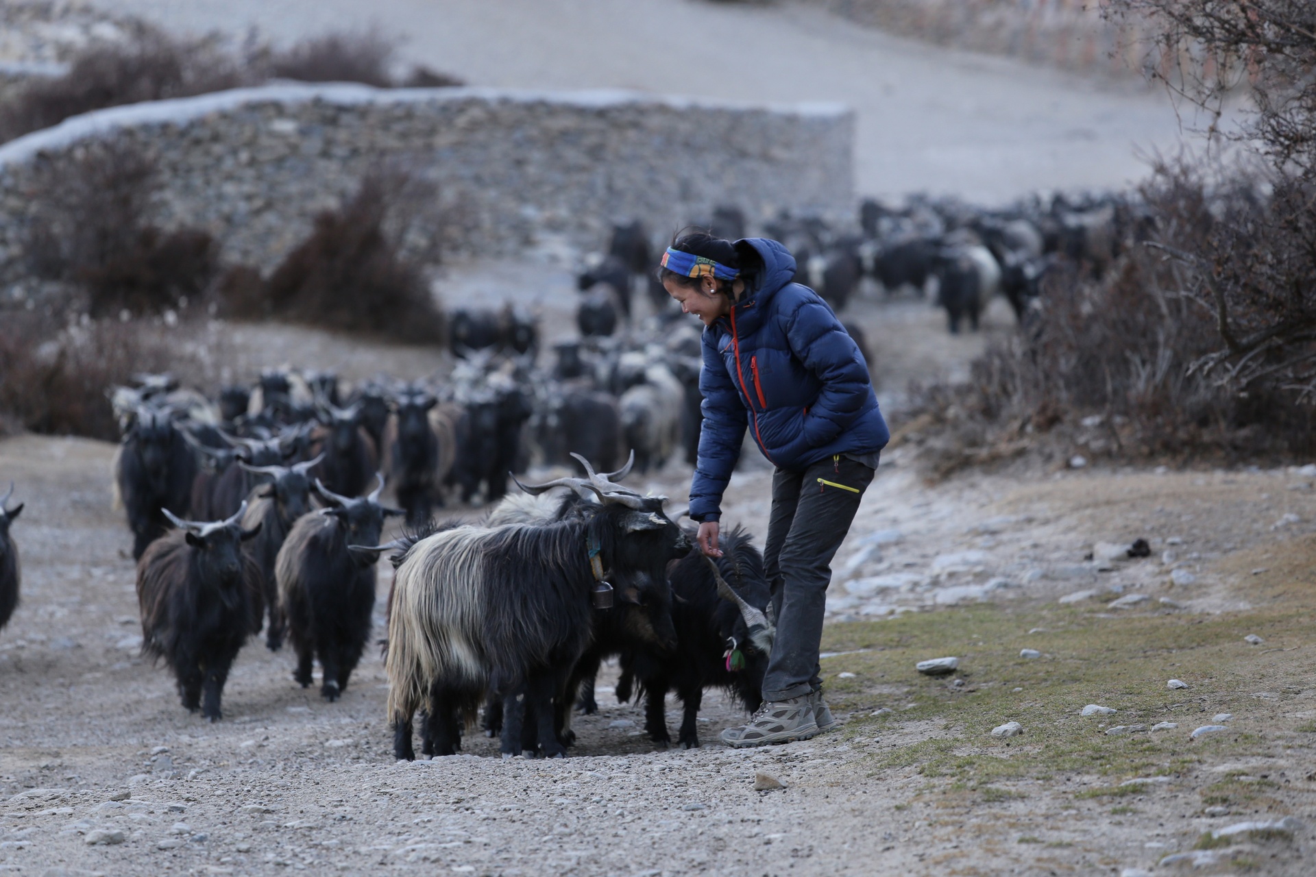 Cô gái Việt chuyển hẳn sang Nepal sống chỉ sau 2 chuyến du lịch - Ảnh 2.