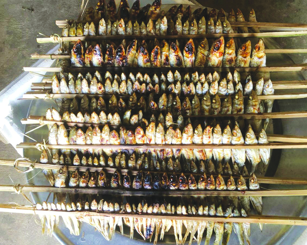 Hồ trên núi có làng cá Ngòi Lao ở Phú Thọ bắt cá măng, cá sộp 20 kg, thực khách sành ăn săn lùng - Ảnh 8.