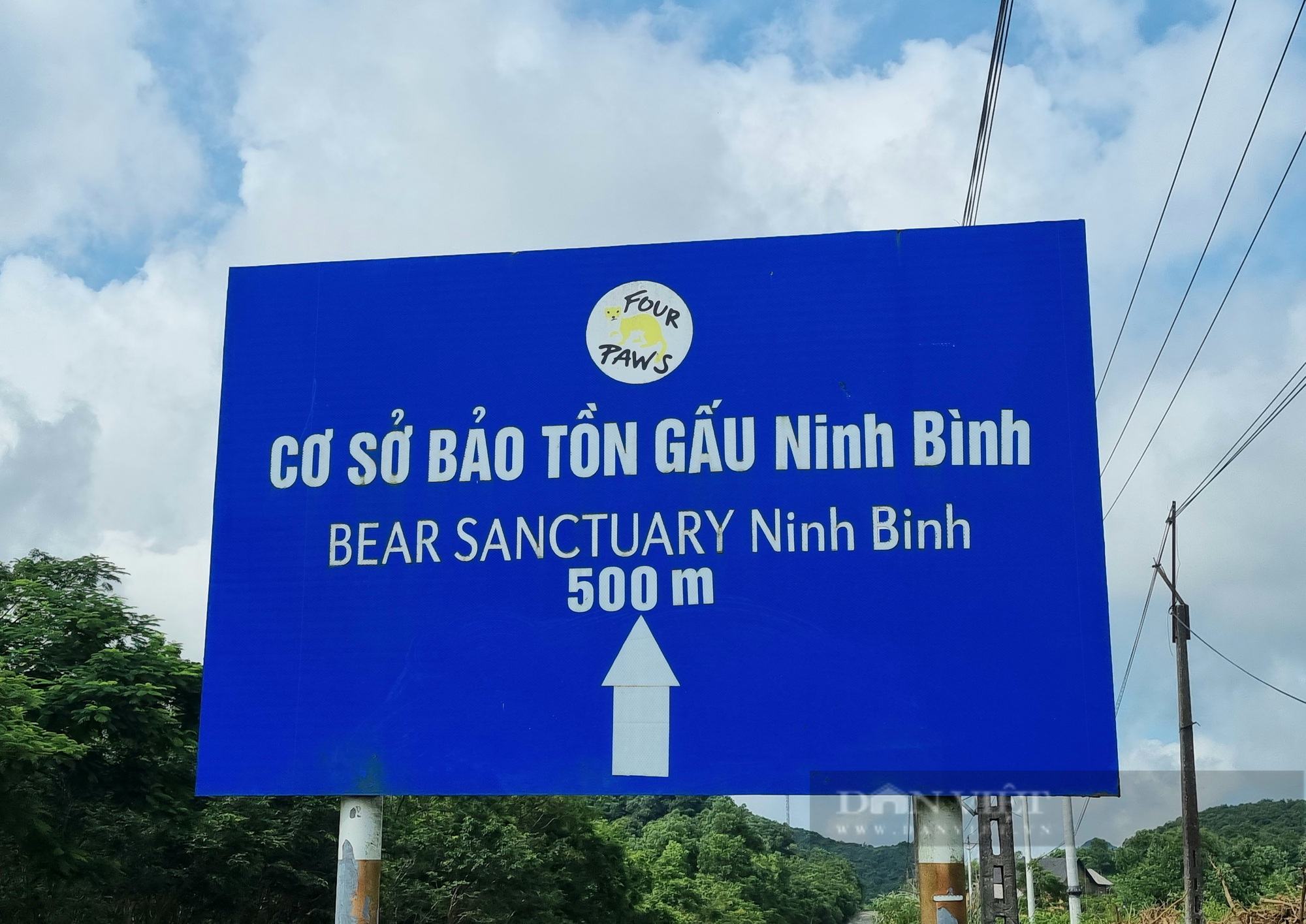 Tham quan cơ sở bảo tồn gấu Ninh Bình - Ảnh 2.