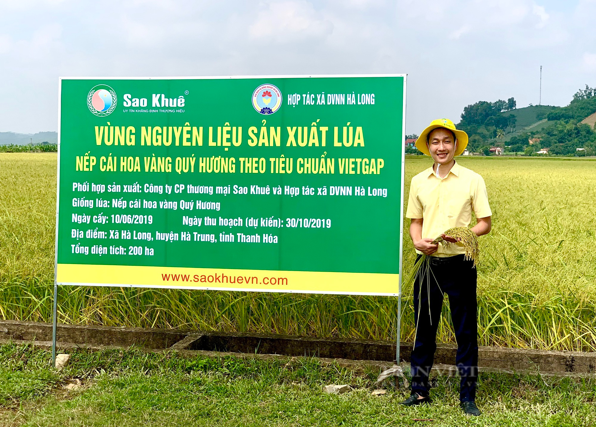 9X Thanh Hóa nặng lòng với cây lúa, hạt gạo quê hương được bình chọn Nông dân Việt Nam xuất sắc 2022 - Ảnh 7.