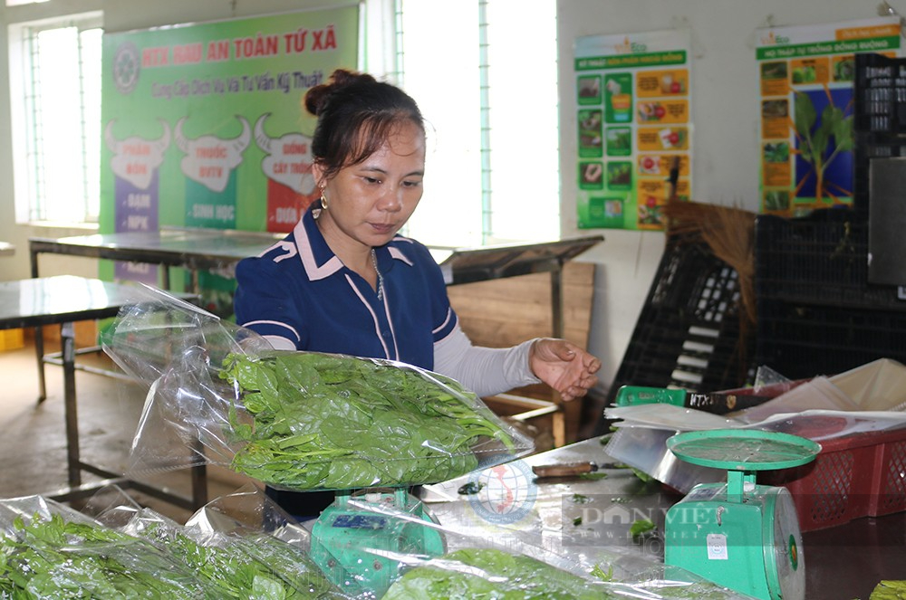 Phú Thọ: Liên kết chuỗi để nông nghiệp phát triển bền vững, nhà nông làm giàu - Ảnh 3.