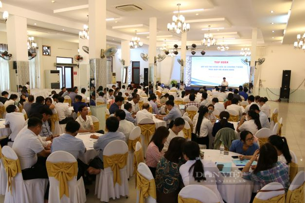 Ninh Thuận: Hơn 150 cán bộ được tập huấn nghiệp vụ Quỹ hỗ trợ nông dân và chương trình phối hợp với Ngân hàng - Ảnh 1.