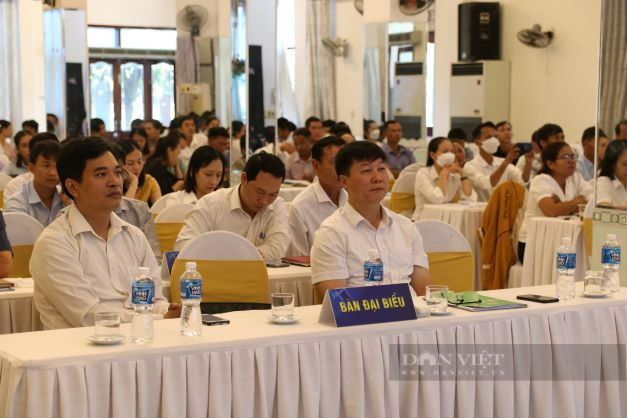 Ninh Thuận: Hơn 150 cán bộ được tập huấn nghiệp vụ Quỹ hỗ trợ nông dân và chương trình phối hợp với Ngân hàng - Ảnh 2.