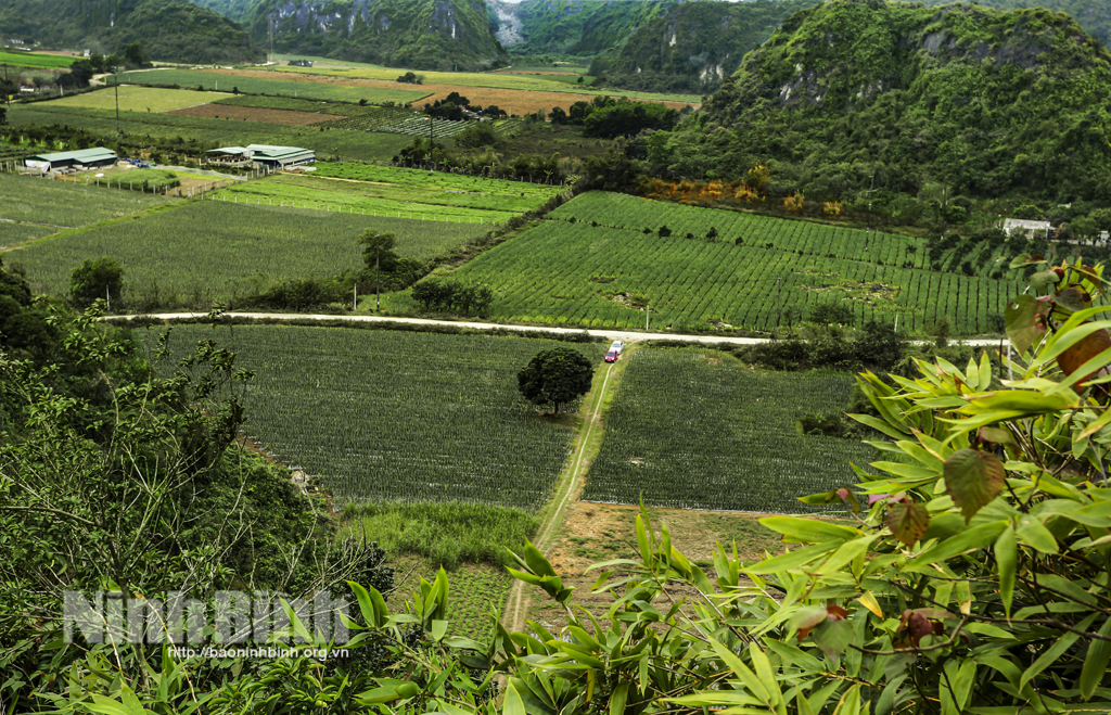 Đi lấy củi tình cờ phát hiện cái động núi đá vôi ở tỉnh Ninh Bình, sau 26 năm vẫn hoang sơ đến &quot;phát hờn&quot; - Ảnh 6.