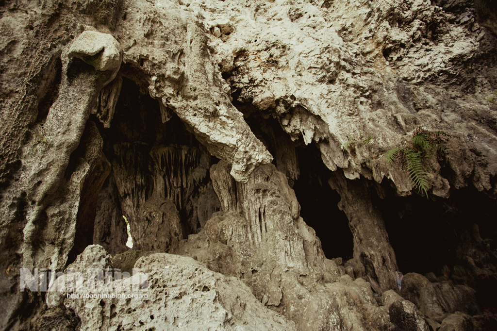 Đi lấy củi tình cờ phát hiện cái động núi đá vôi ở tỉnh Ninh Bình, sau 26 năm vẫn hoang sơ đến &quot;phát hờn&quot; - Ảnh 4.