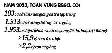 Đốc thúc nghiên cứu giống cá tra chất lượng cao - Ảnh 5.