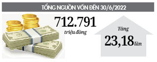 Có vốn ưu đãi làm kinh tế, nông dân Hòa Vang thoát nghèo, làm giàu - Ảnh 4.