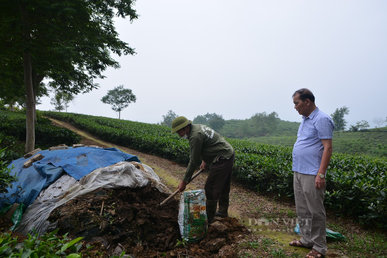 Nông dân Việt Nam xuất sắc tỉnh Tuyên Quang - Ảnh 3.