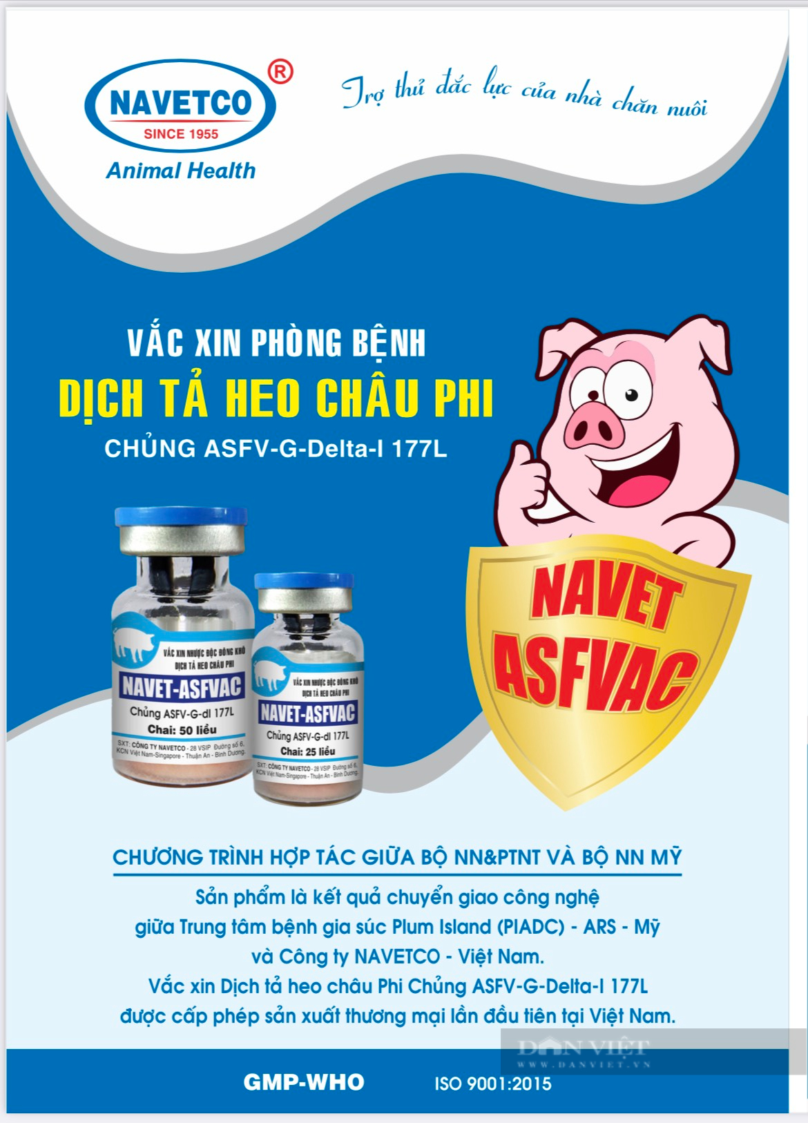 Tiêm phòng vaccine của Công ty Navetco lợn vẫn chết, Bình Định lệnh dừng tiêm phòng - Ảnh 2.