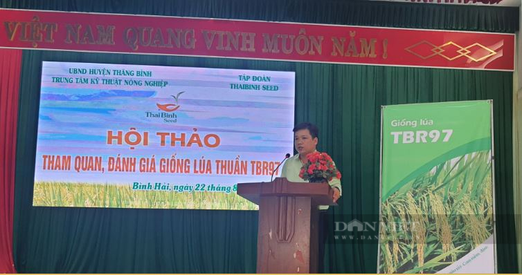 Quảng Nam: Giống lúa TBR97 tạo điều kỳ diệu trên vùng đất 10 năm nông dân không thể canh tác - Ảnh 3.