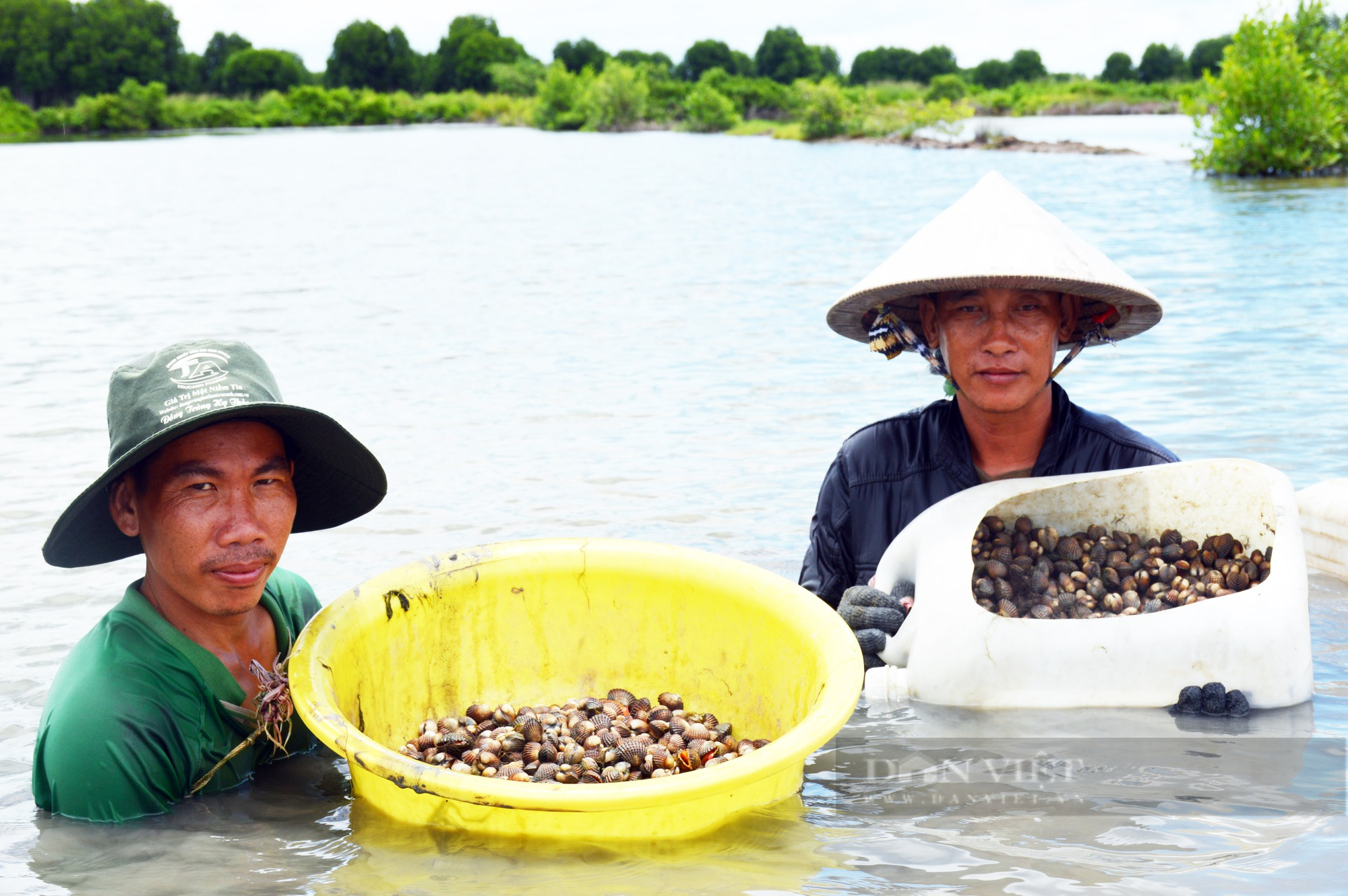 Nông dân Việt Nam xuất sắc 2022 ở Cà Mau nuôi sò huyết kiếm tiền tỷ - Ảnh 6.