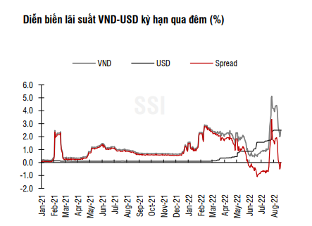 NHNN rút ròng 100.000 tỷ, chênh lệch giữa lãi suất VND và USD ở vùng rủi ro - Ảnh 1.