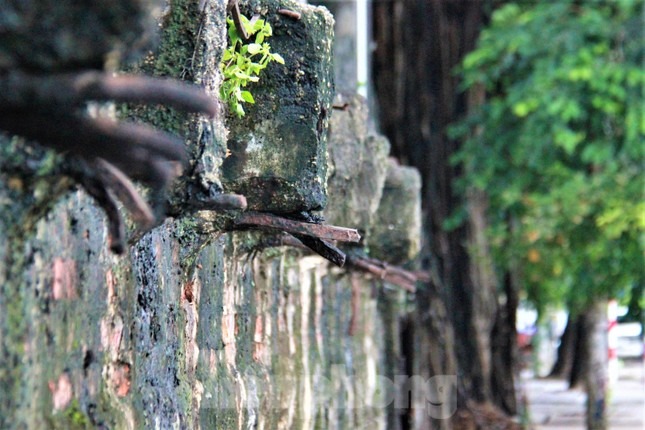 Hình ảnh 9 hộ dân sống thấp thỏm trên nóc nhà tù 113 năm tuổi ở Quảng Ninh - Ảnh 9.