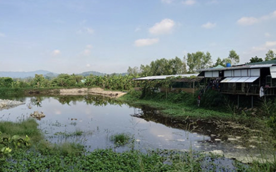 Trại heo lớn ở Đồng Nai vi phạm về môi trường, vì sao hơn 2 tháng chưa nộp phạt đủ?