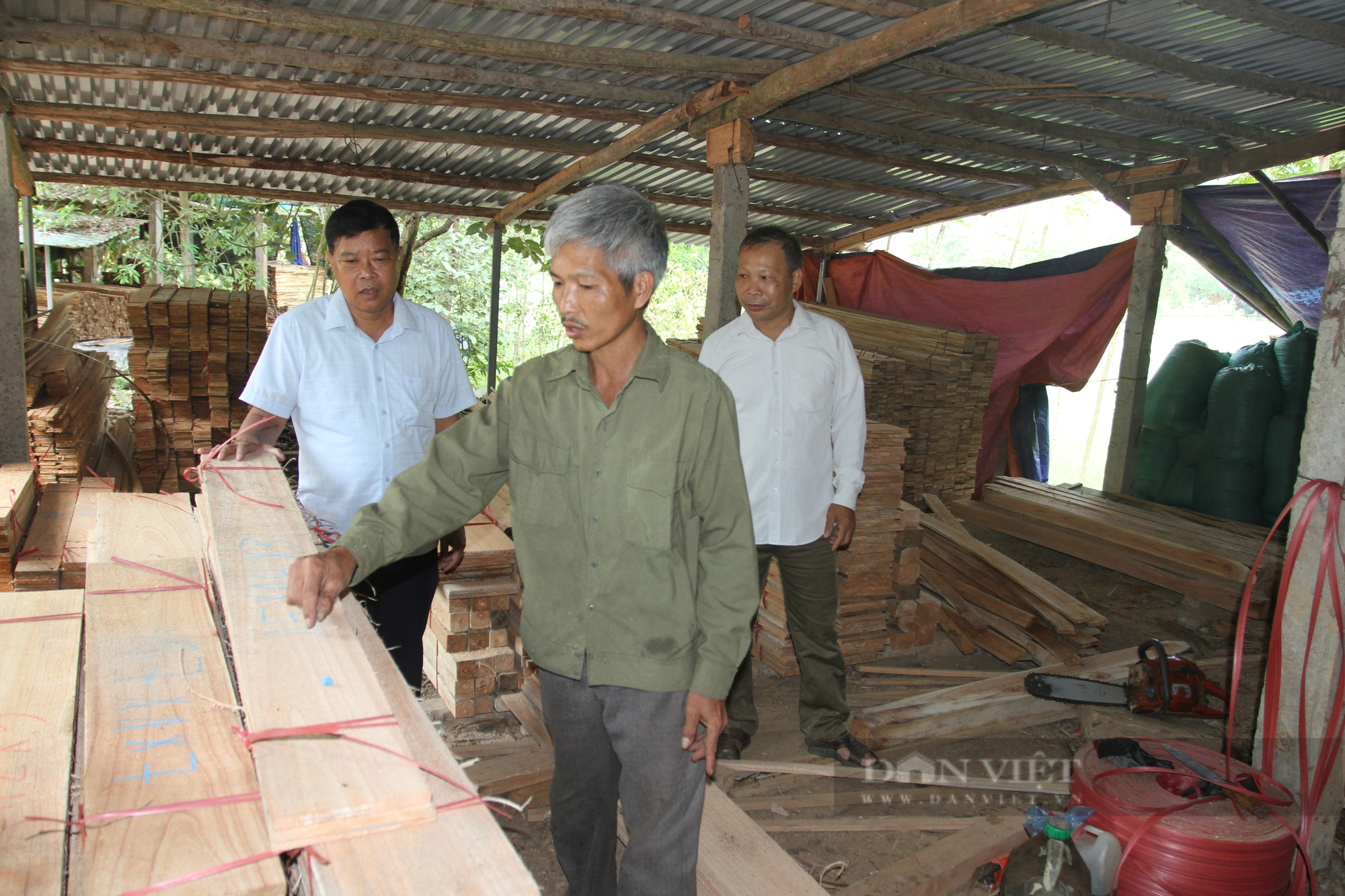 Thái Nguyên: Trồng rừng kết hợp chăn nuôi và phát triển cây giống, nông dân nơi đây có kinh tế ổn định - Ảnh 4.