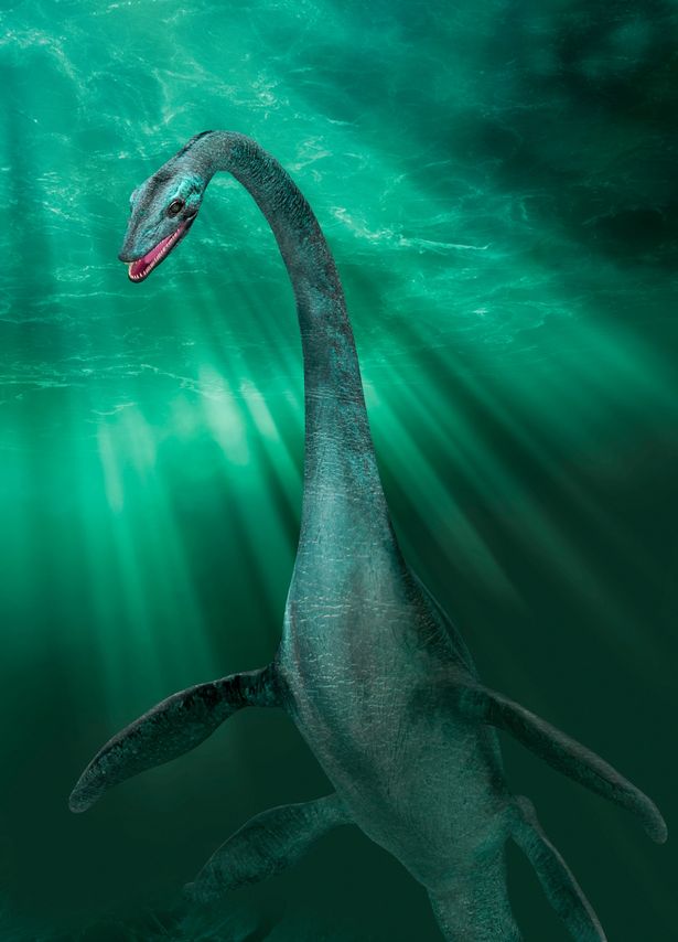 Những giả thuyết kỳ lạ nhất về quái vật hồ Loch Ness - Ảnh 1.