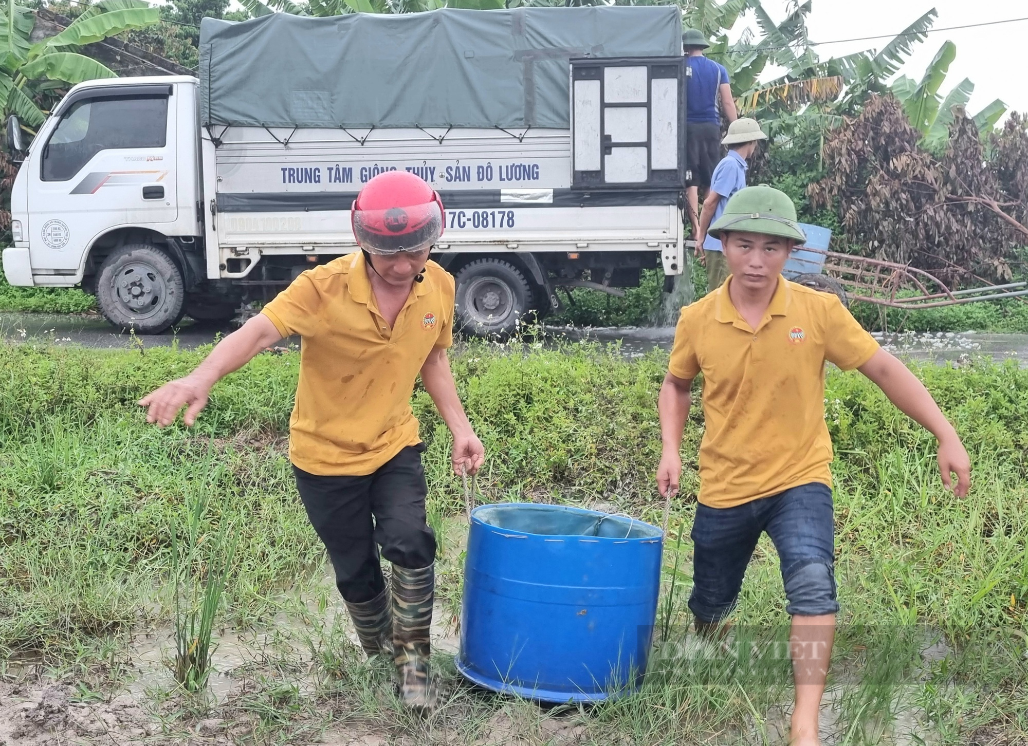 Hội Nông dân Thanh Hóa: Bàn giao 100kg giống cá trắm đen cho hội viên nuôi - Ảnh 4.