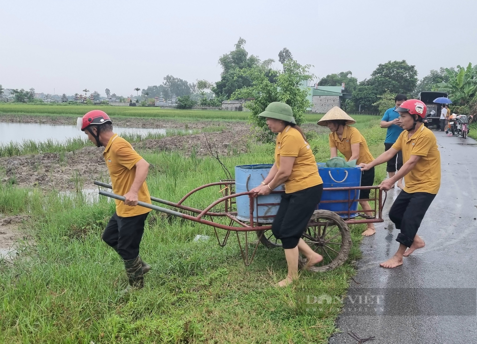 Hội Nông dân Thanh Hóa: Bàn giao 100kg giống cá trắm đen cho hội viên nuôi - Ảnh 5.