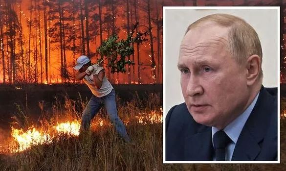 Tổng thống Putin thừa nhận Nga đang đối mặt với hiểm họa lớn từ... cháy rừng - Ảnh 1.
