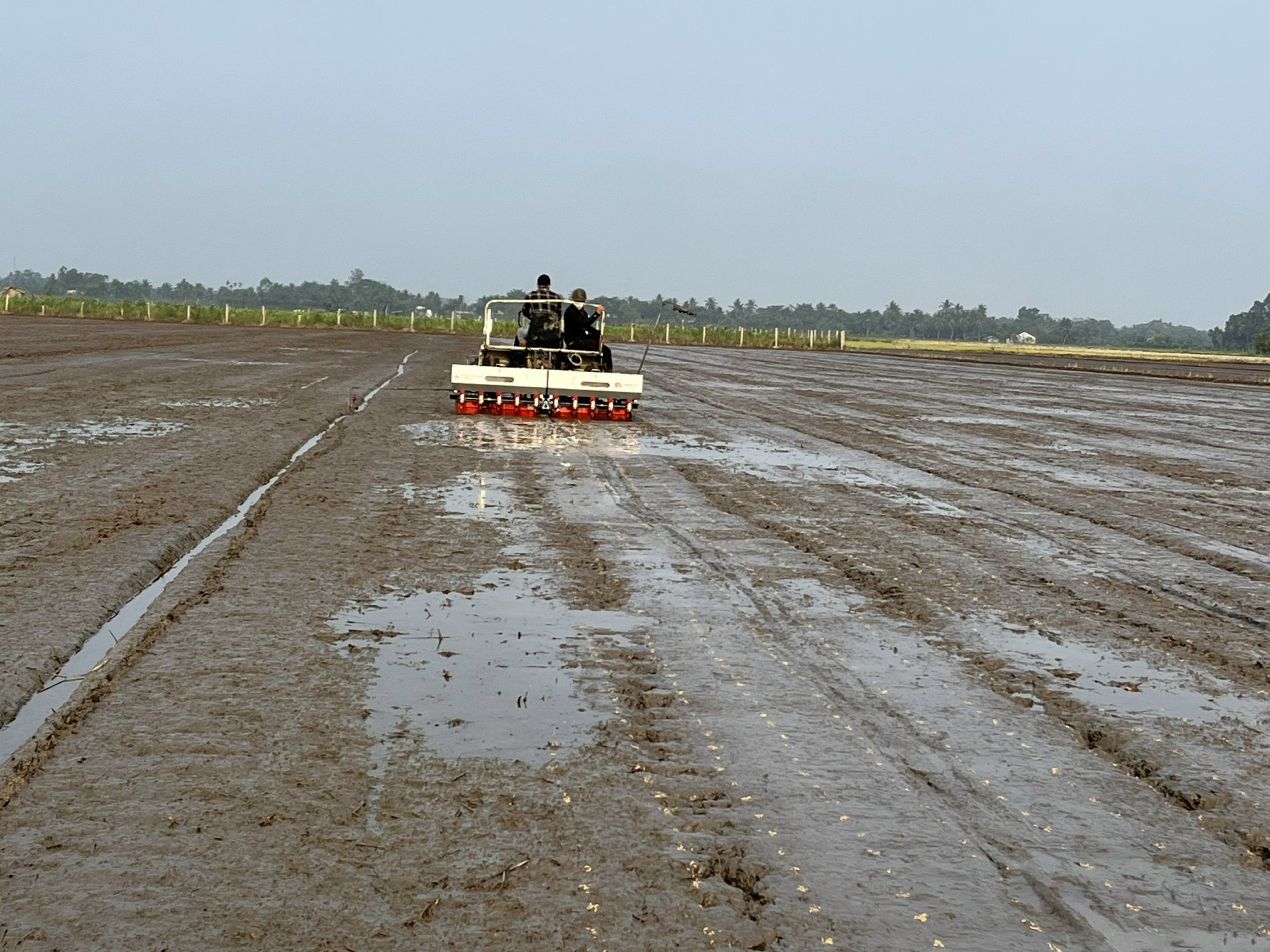 Ứng dụng máy sạ cụm trong giảm giống gieo sạ trên cây lúa tại Đồng bằng Sông Cửu Long - Ảnh 5.