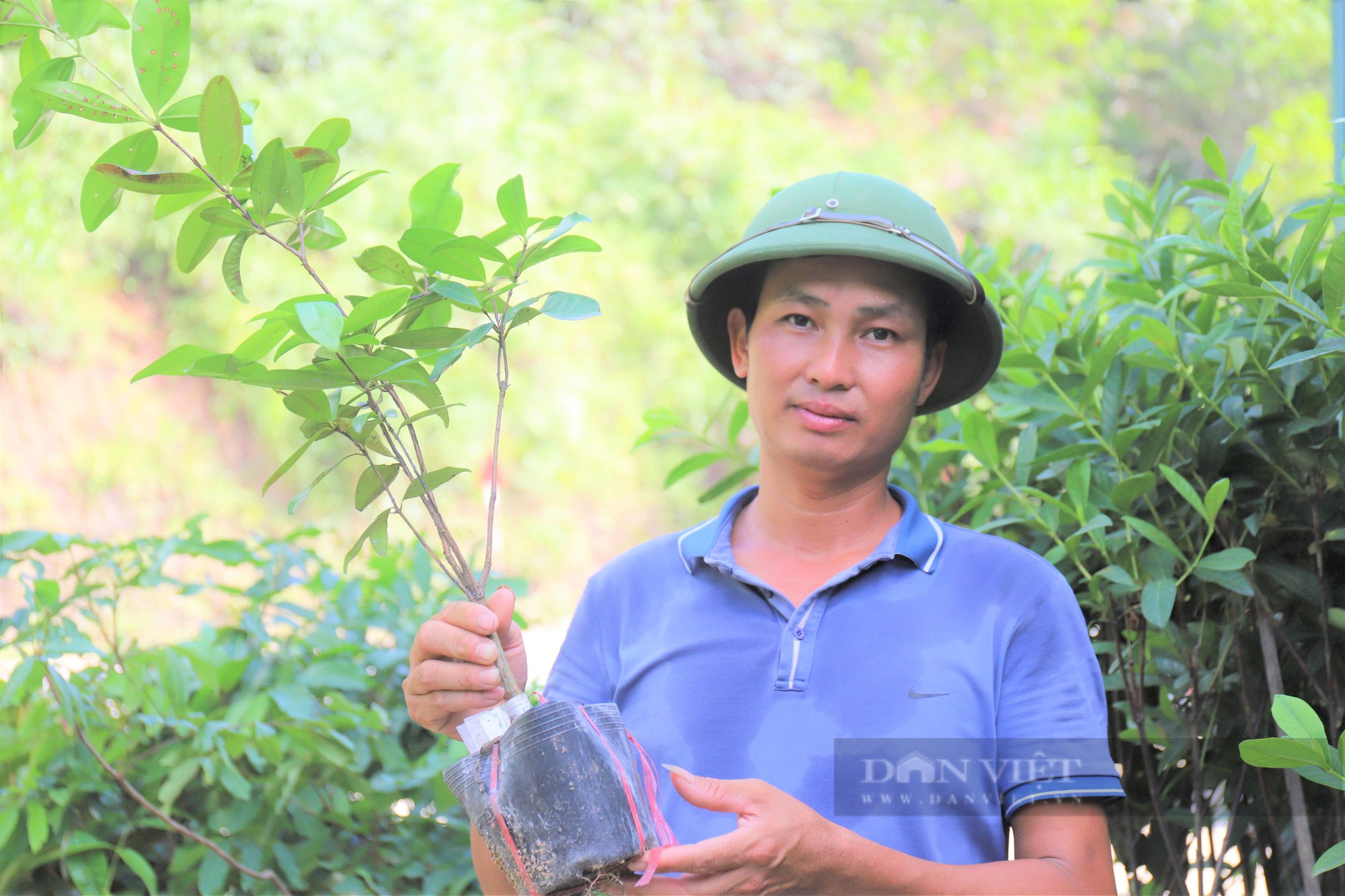 Nông dân Việt Nam xuất sắc 2022 đến từ Hà Tĩnh là hội viên đam mê ngắm cây “hái” ra tiền tỷ - Ảnh 2.