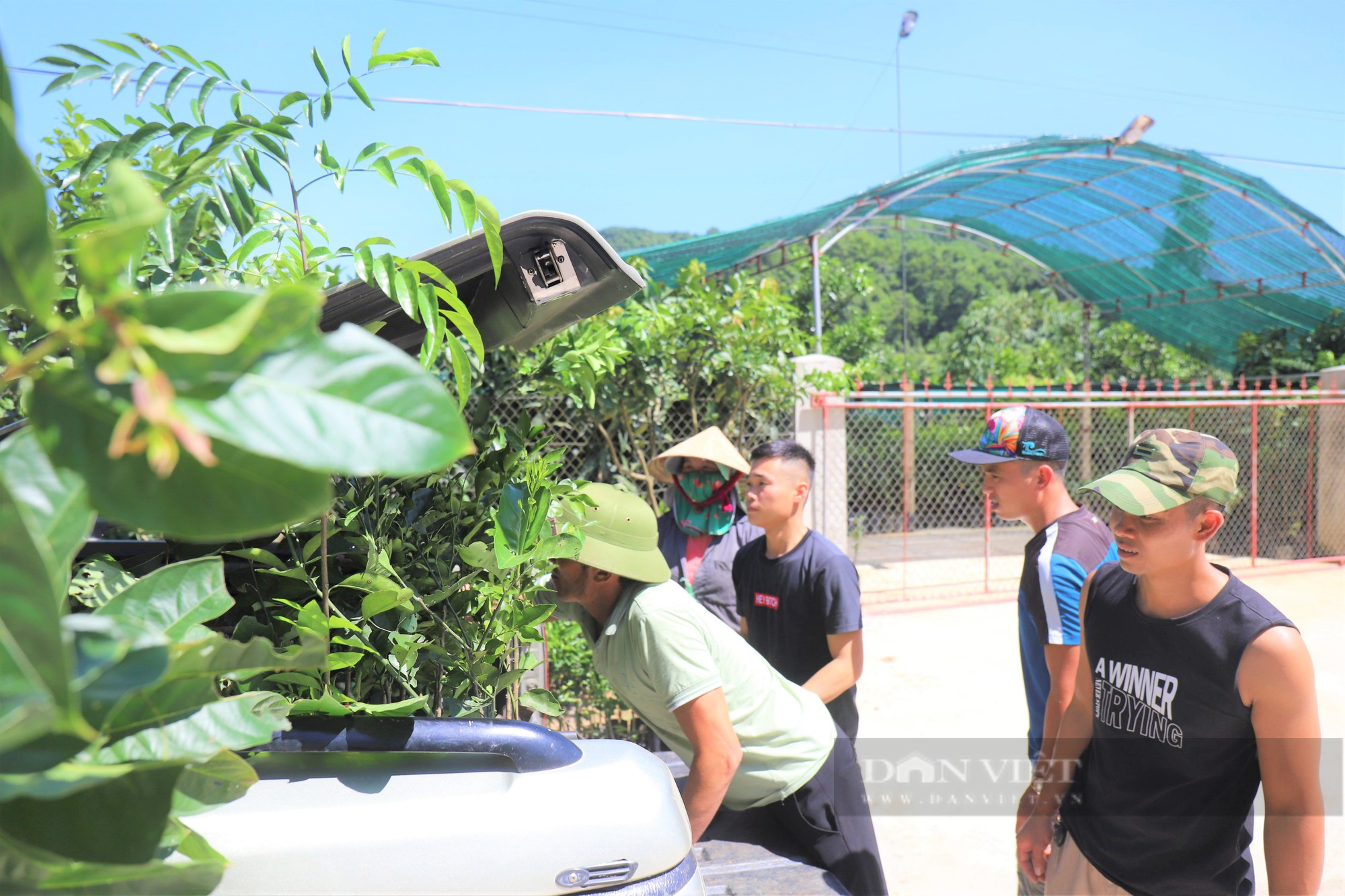 Nông dân Việt Nam xuất sắc 2022 đến từ Hà Tĩnh là hội viên đam mê ngắm cây “hái” ra tiền tỷ - Ảnh 13.
