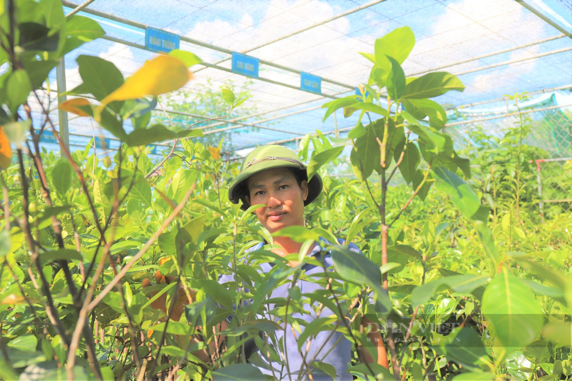 Nông dân Việt Nam xuất sắc 2022 đến từ Hà Tĩnh là hội viên đam mê ngắm cây “hái” ra tiền tỷ - Ảnh 5.