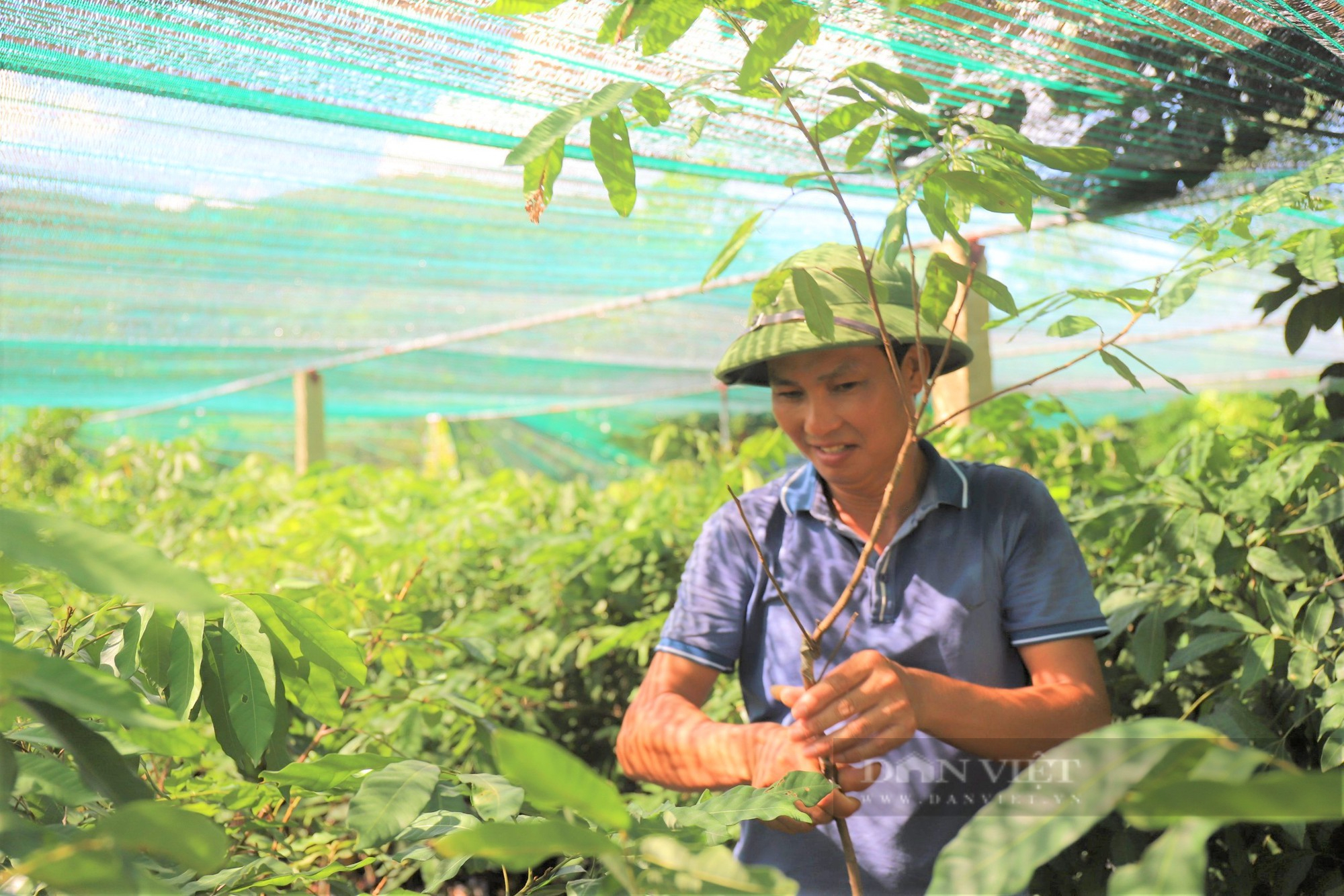 Nông dân Việt Nam xuất sắc 2022 đến từ Hà Tĩnh là hội viên đam mê ngắm cây “hái” ra tiền tỷ - Ảnh 6.