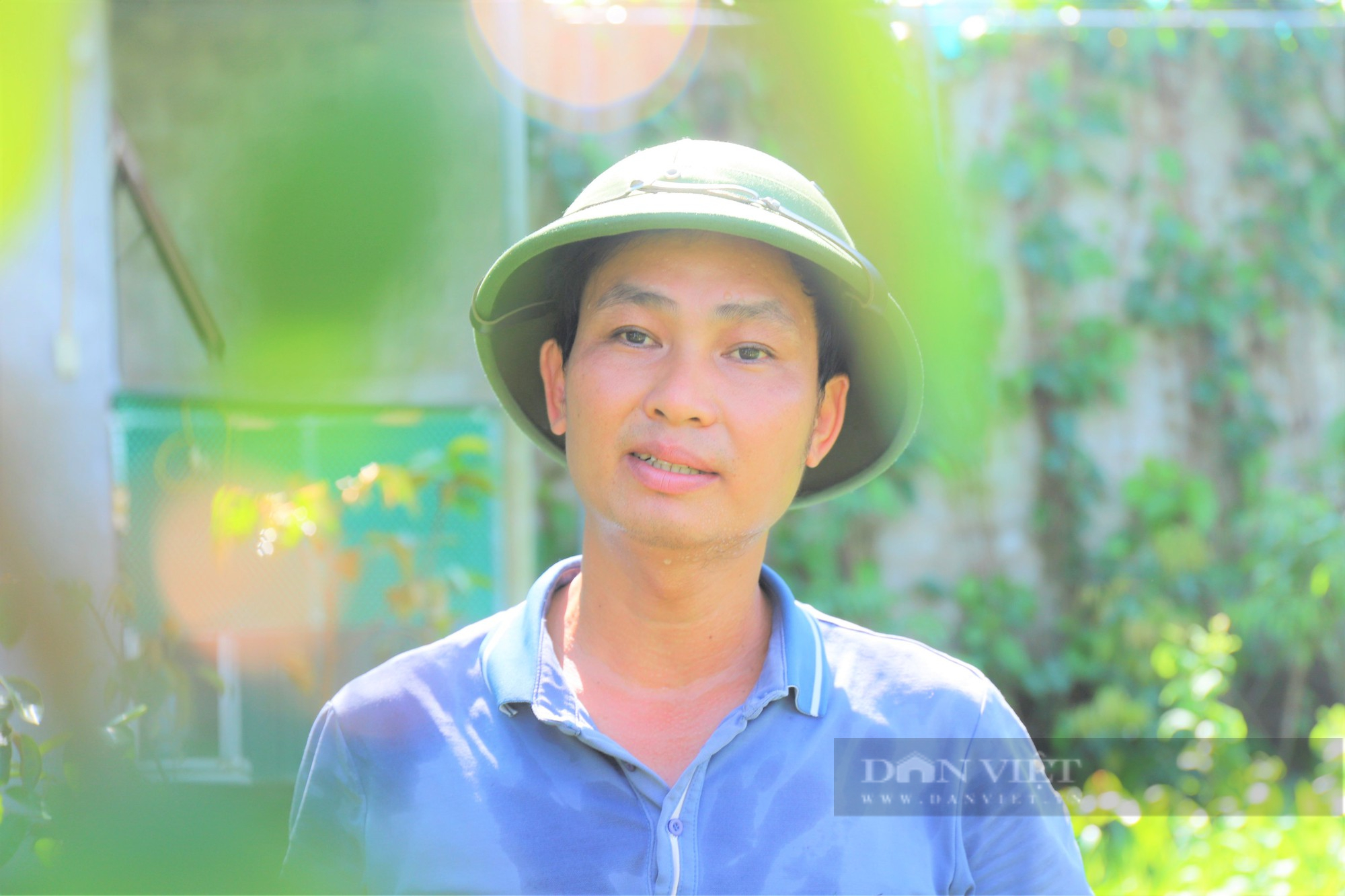 Nông dân Việt Nam xuất sắc 2022 đến từ Hà Tĩnh là hội viên đam mê ngắm cây “hái” ra tiền tỷ - Ảnh 11.