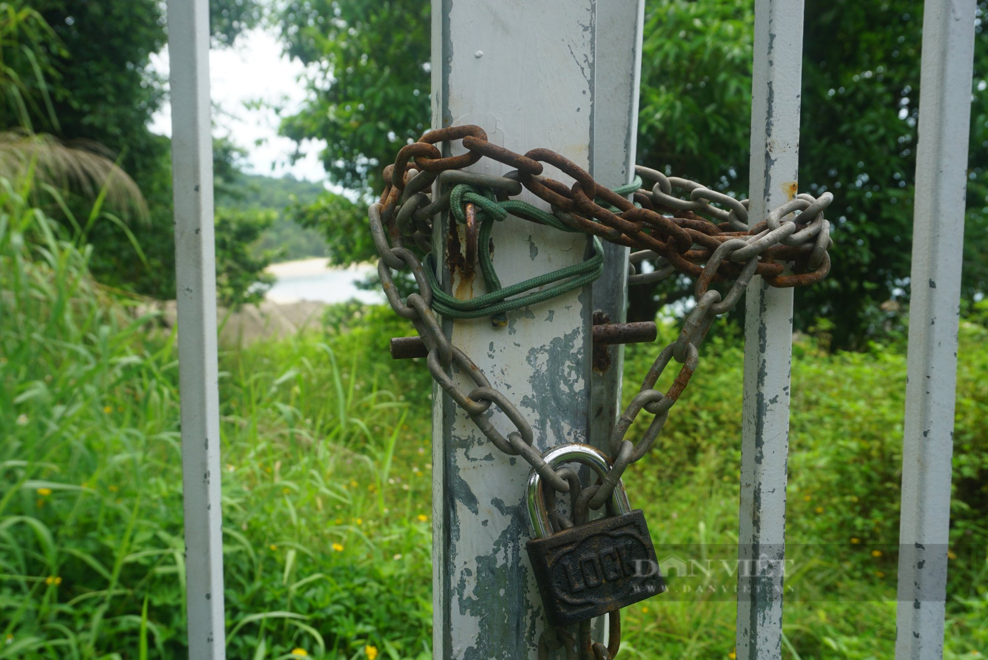 La liệt biệt thư &quot;đắp chiếu&quot;, cỏ mọc lút đầu trên bán đảo Sơn Trà, Đà Nẵng - Ảnh 7.