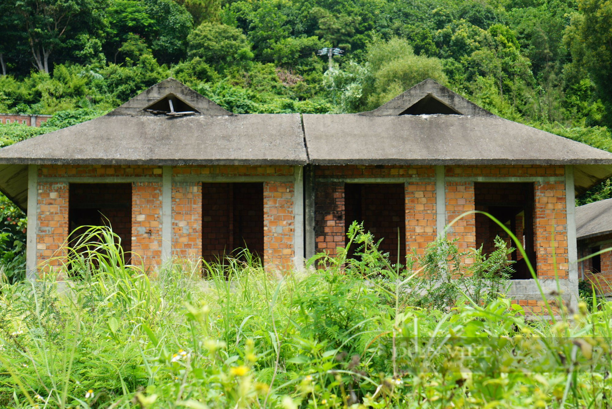 La liệt biệt thư &quot;đắp chiếu&quot;, cỏ mọc lút đầu trên bán đảo Sơn Trà, Đà Nẵng - Ảnh 5.