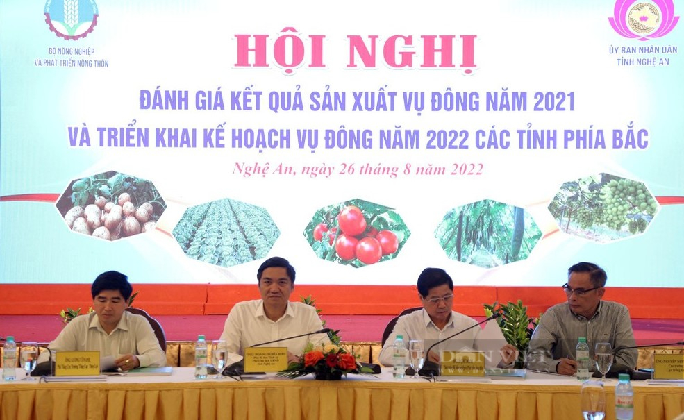 Các tỉnh phía Bắc triển khai kế hoạch vụ đông 2022 trong dự báo thời tiết sẽ rất phức tạp - Ảnh 4.