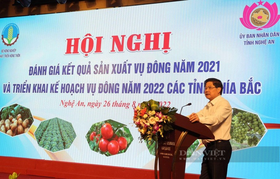 Các tỉnh phía Bắc triển khai kế hoạch vụ đông 2022 trong dự báo thời tiết sẽ rất phức tạp - Ảnh 2.