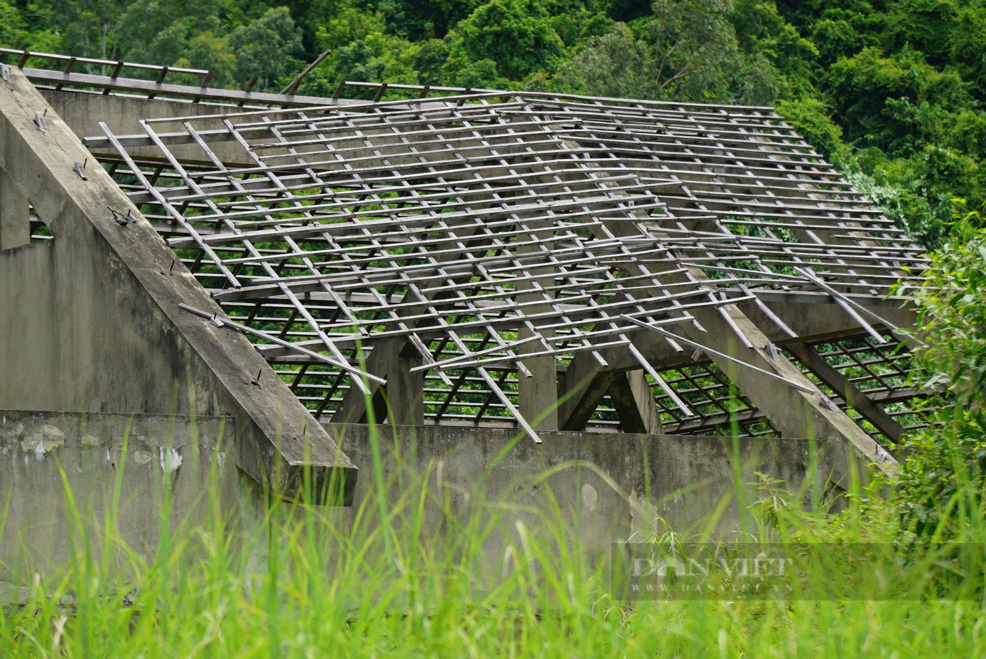 La liệt biệt thư &quot;đắp chiếu&quot;, cỏ mọc lút đầu trên bán đảo Sơn Trà, Đà Nẵng - Ảnh 3.