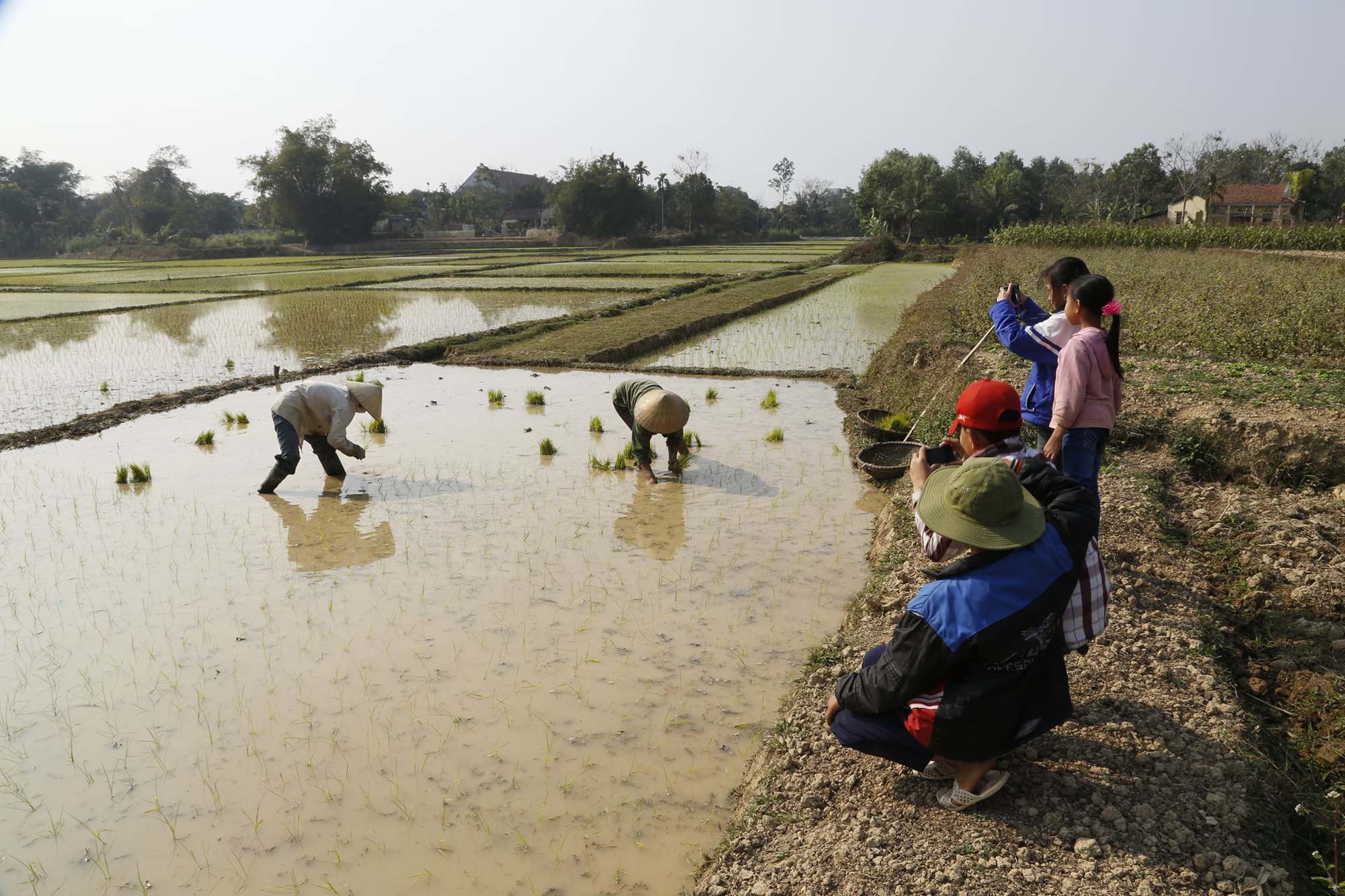 nhiếp ảnh 