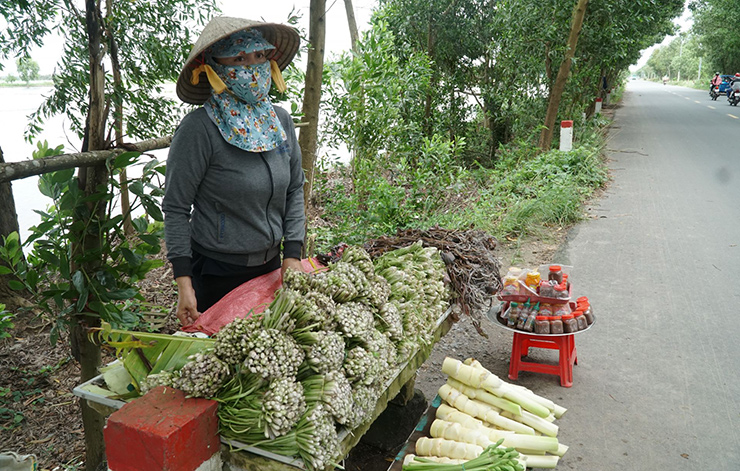 Loại rau không trồng cũng mọc sum suê, dân nhổ bán kiếm 600.000 đồng/ngày, là đặc sản miền Tây - Ảnh 4.