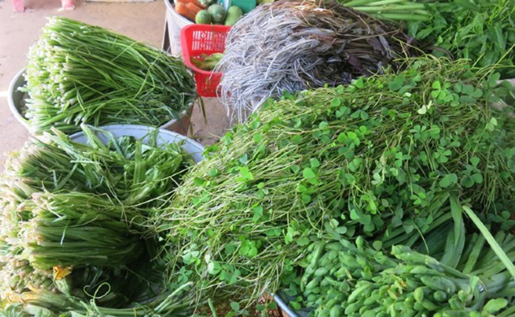 Loại rau không trồng cũng mọc sum suê, dân nhổ bán kiếm 600.000 đồng/ngày, là đặc sản miền Tây - Ảnh 9.