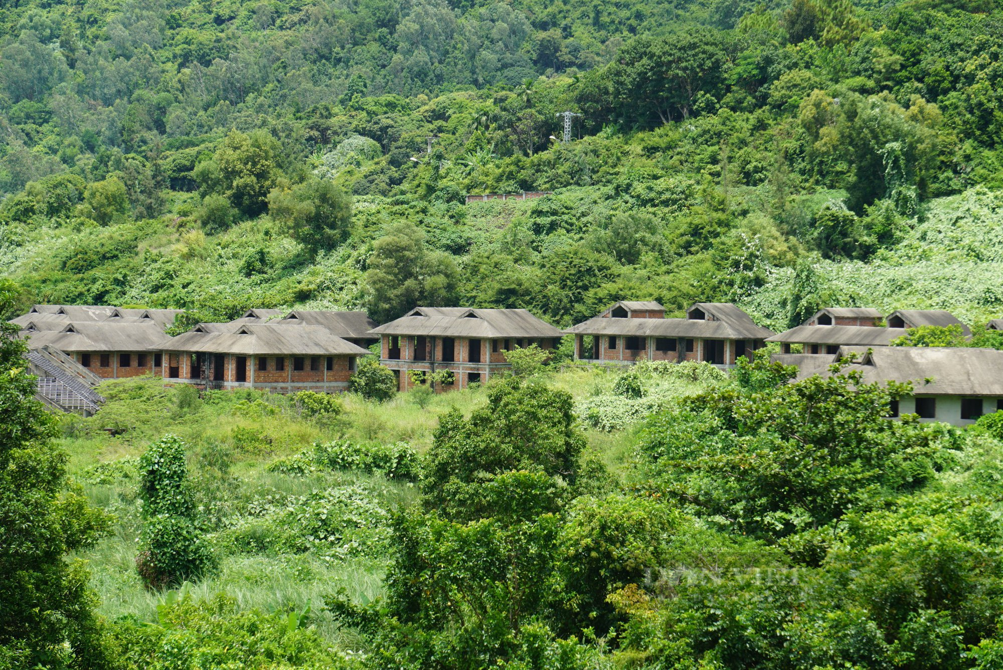 La liệt biệt thư &quot;đắp chiếu&quot;, cỏ mọc lút đầu trên bán đảo Sơn Trà, Đà Nẵng - Ảnh 1.