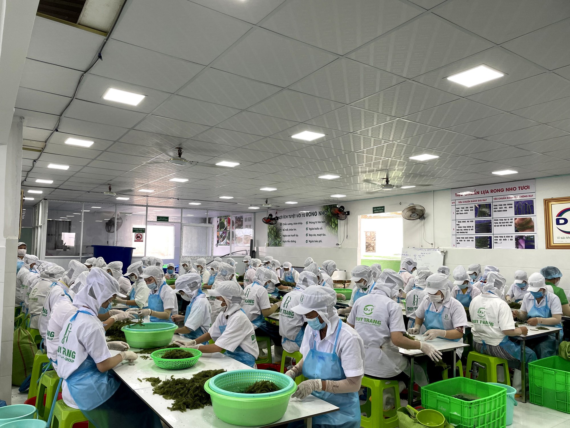 Hai sản phẩm của doanh nghiệp tỉnh Khánh Hòa đạt chứng nhận OCOP 4 sao - Ảnh 1.
