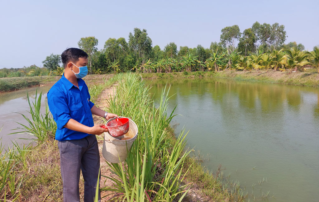 Nuôi thứ cá trê vàng kéo lên cả làng muốn xem, thanh niên Long An ở đây cứ bán là có người mua - Ảnh 1.